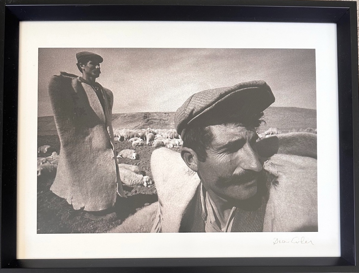 ARA GÜLER
