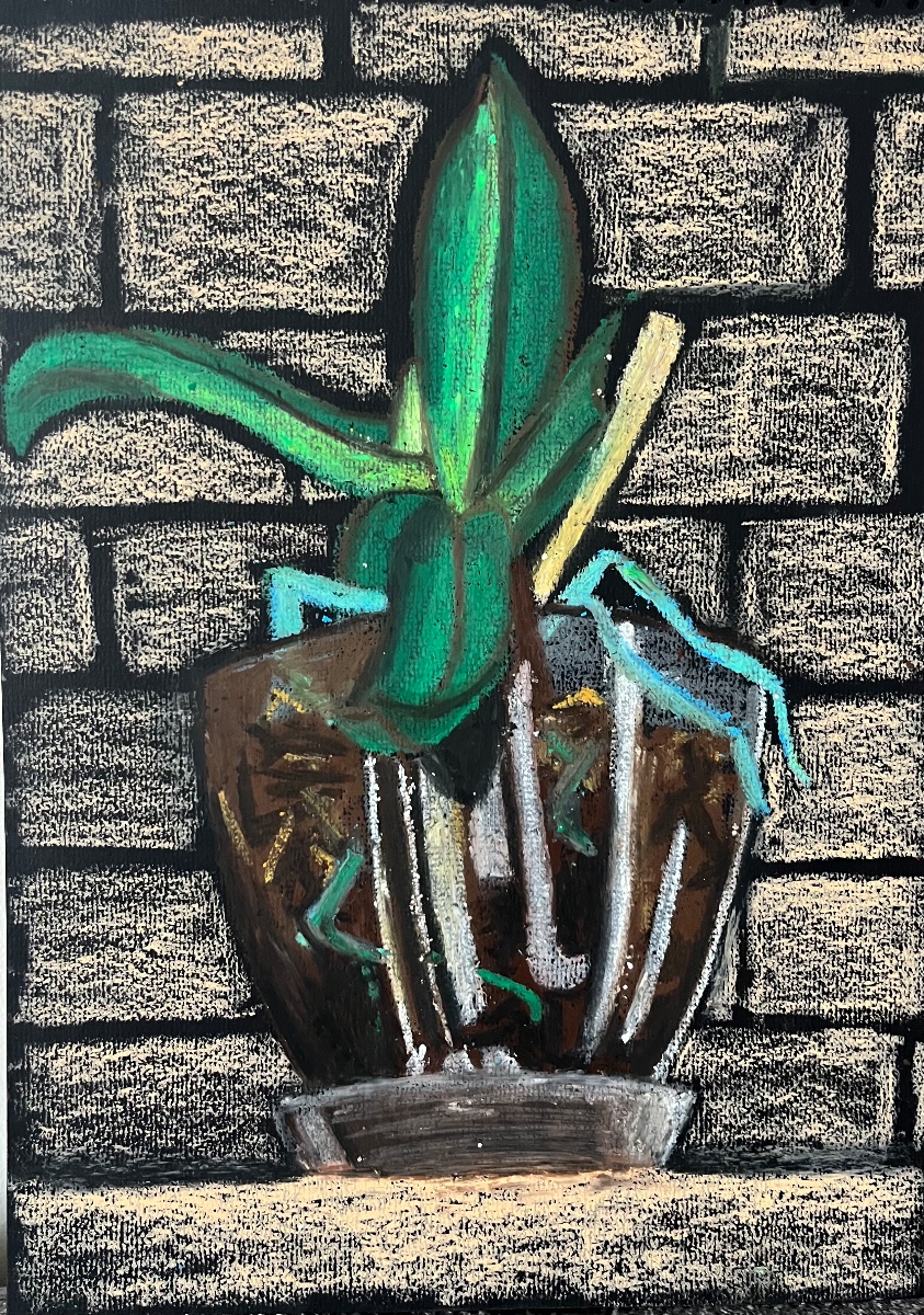 Orkide II