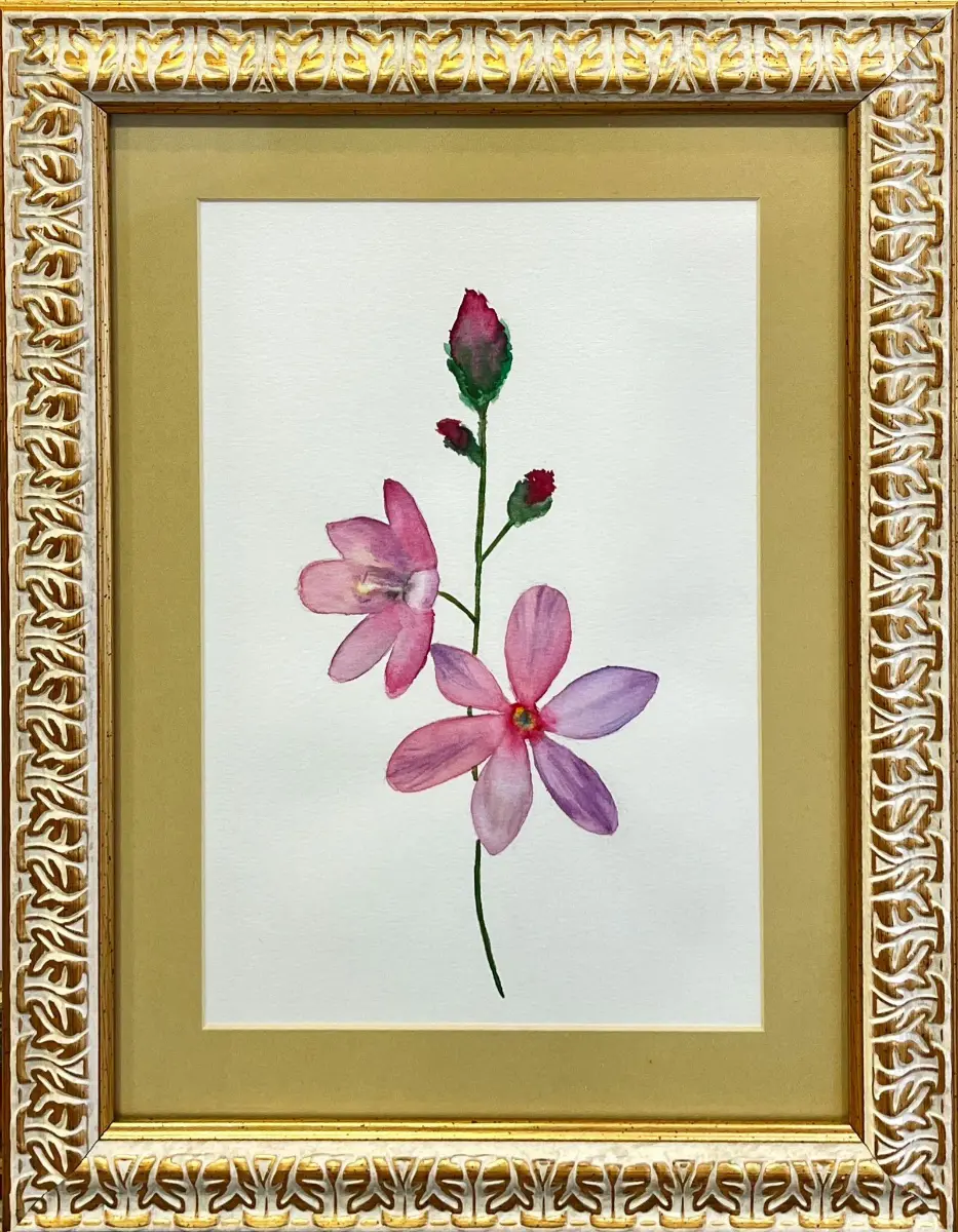 49- Merve Kahraman