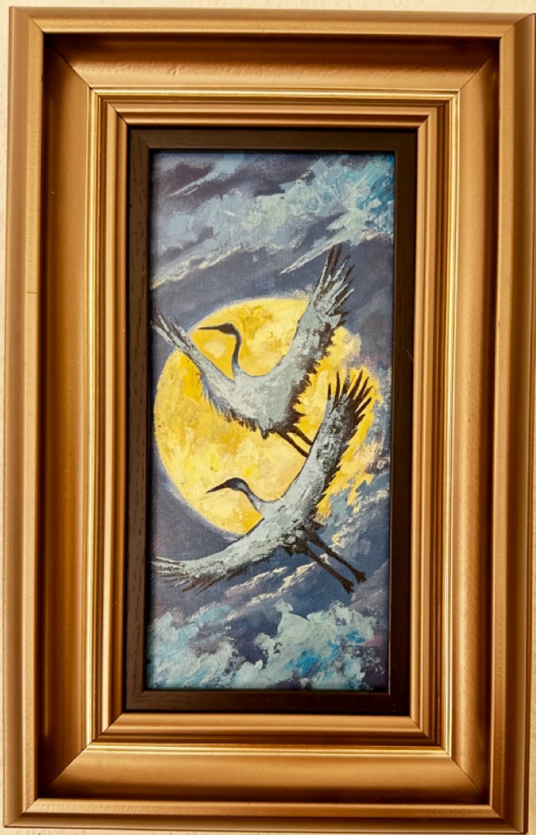 SANER CABRAILOV
