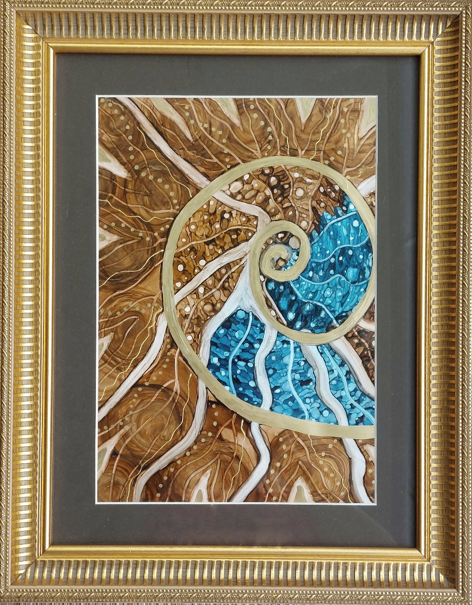 Ammonite Fossil