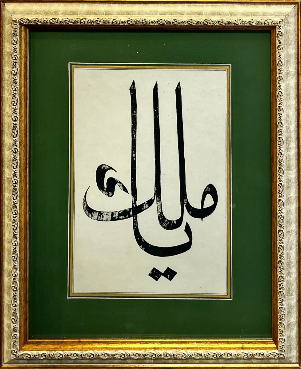 74- Elvan Avşar Güney
