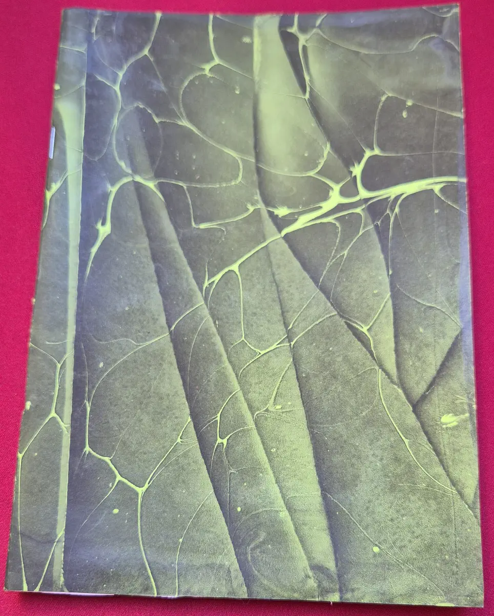 1080-Sümeyye Zarga (Ebru Defter)