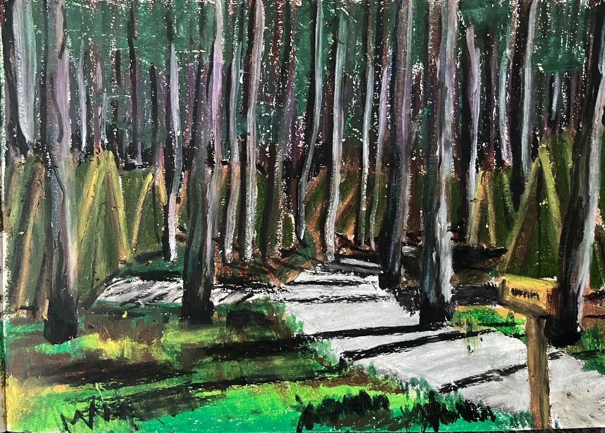 Kamp Sanat
