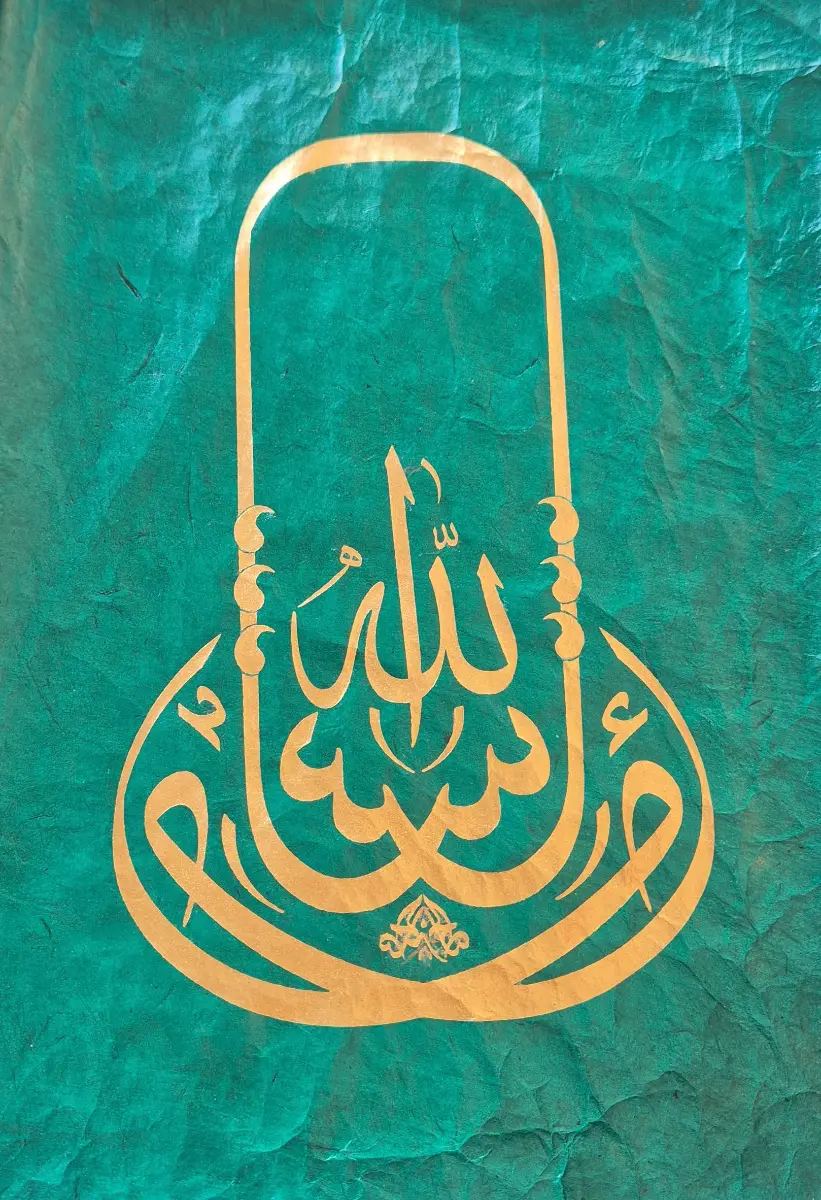 1156-Saliha Dil