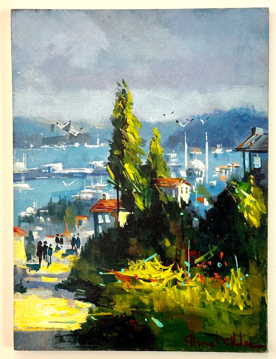 AHMET ALTIN