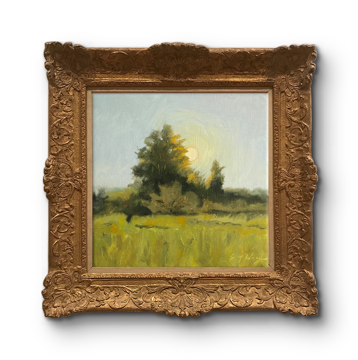 Mini landscape 