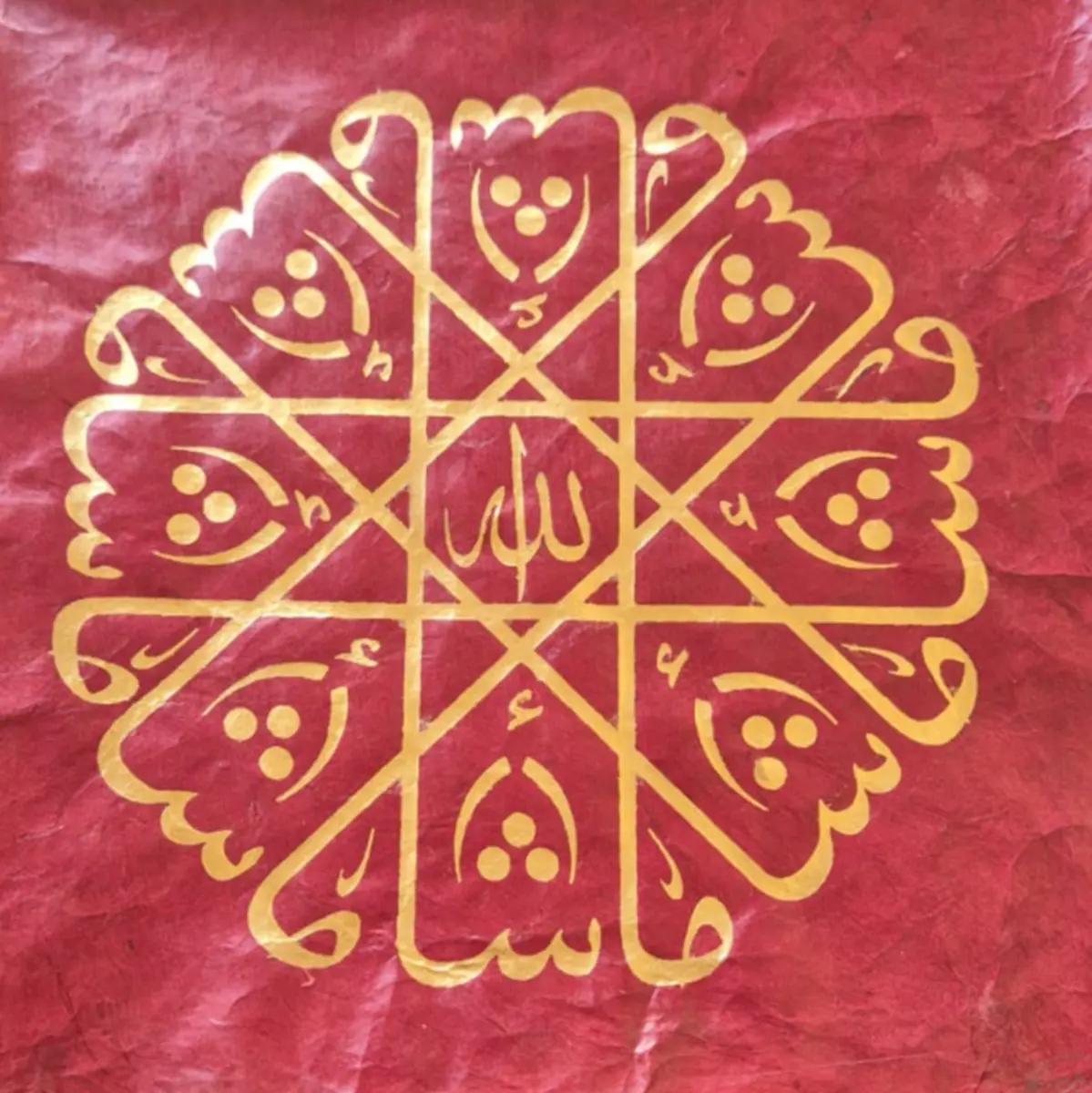1157-Saliha Dil