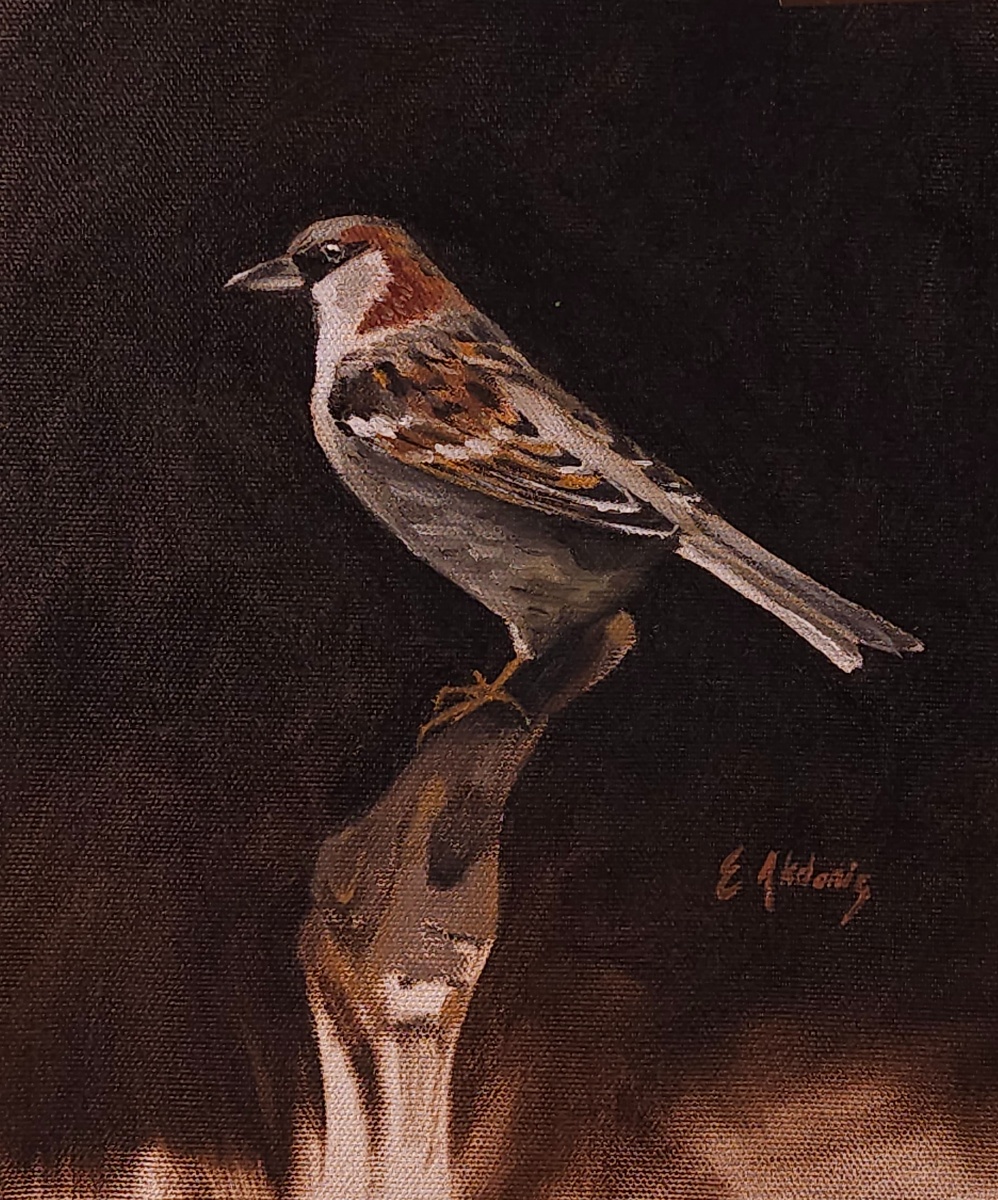 Unfinished Bird